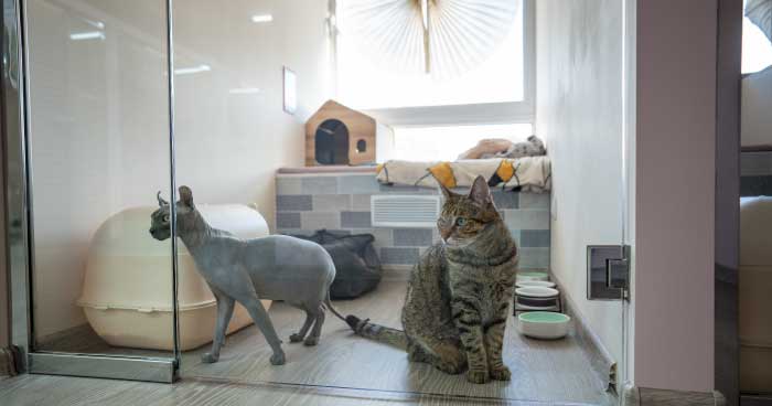 Quarantine and Insurance Costs