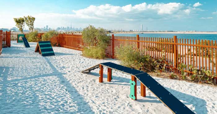 Dubai Islands Dog Beach
