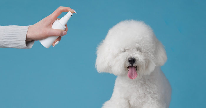 Apply Pet-Safe Sunscreen