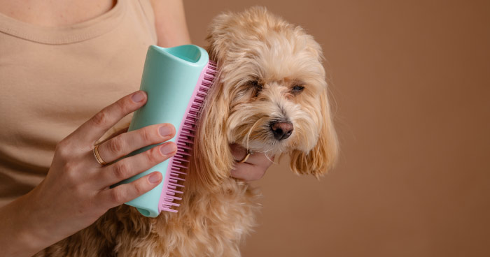 Prevent and Address Matting