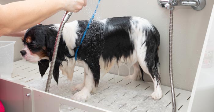 Bathe with Care