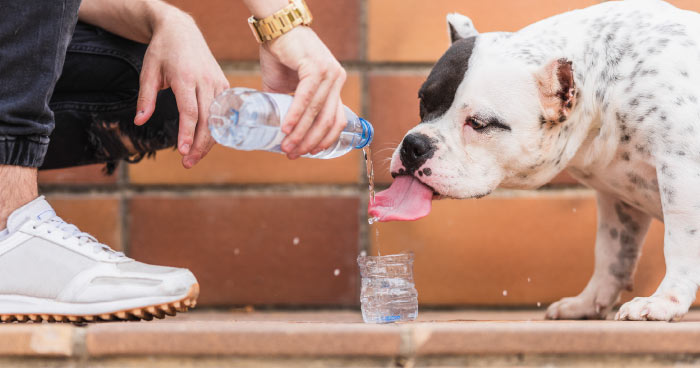 Hydration is Key