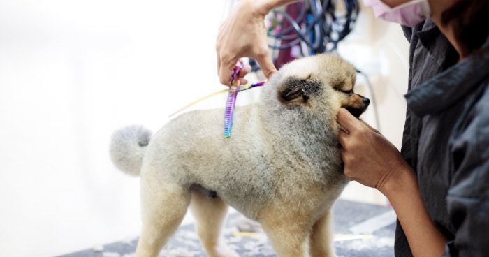 Trim Fur, Don't Shave