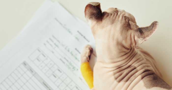 Paperwork: More Than Just Forms 