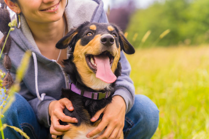 Expert Tips: Pet Relocation Blog
